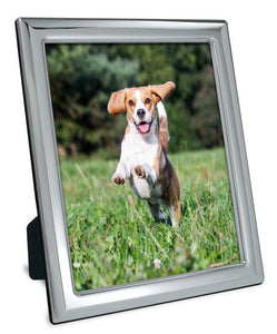 Memorializing The Loss of Your Dog: Tips by Sterling Silver Frame